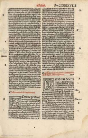 CCXXXVIII r