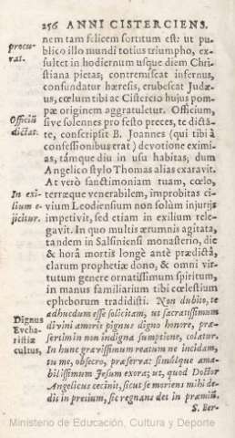 256