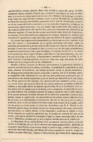 245