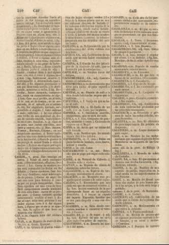 310
