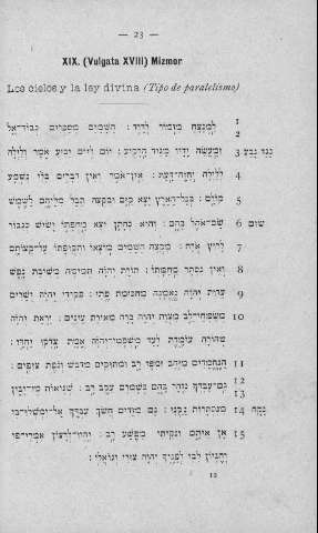 23