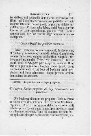 81