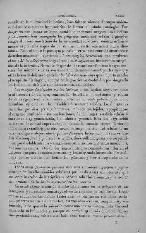 XXXIII