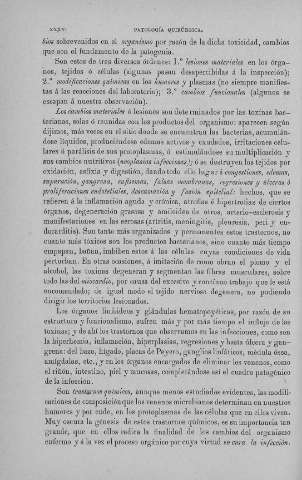 XXXVI