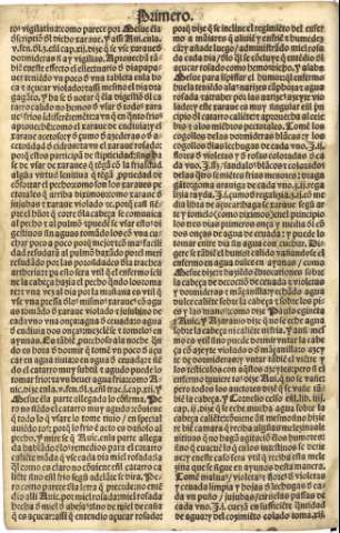 vi v