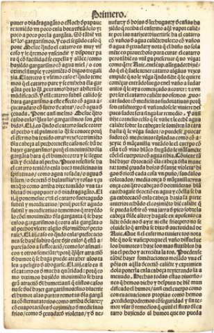 viii v