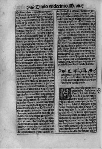 cclxiv v