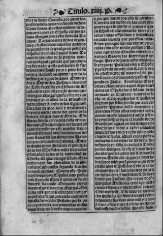 cccxiii v