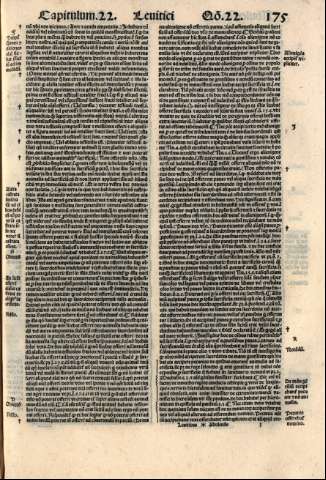 175r