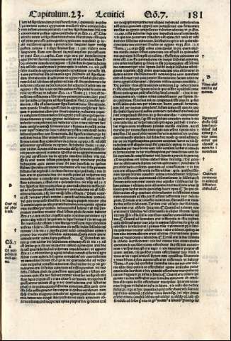 181r