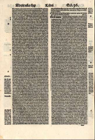 236v