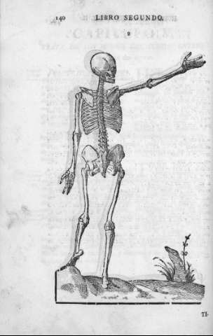 140
