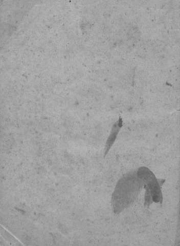 [Cubierta]