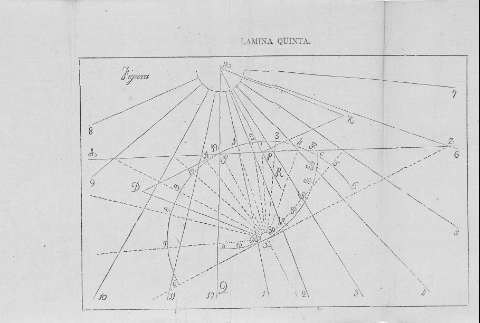 LAMINA QUINTA
