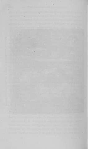 306