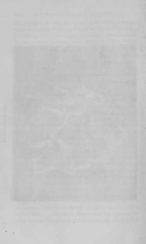294