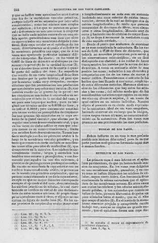 244