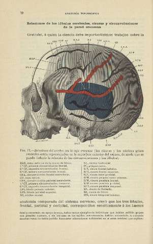 72