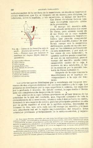 128