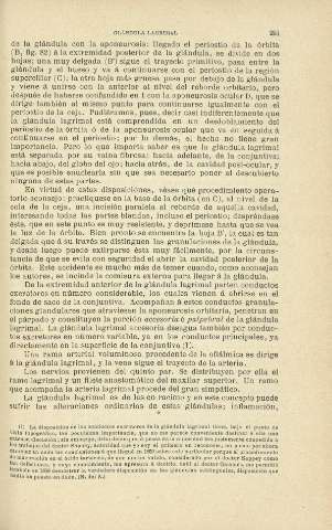 251