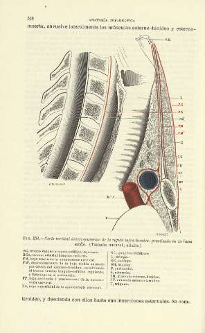 512