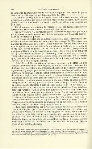 252