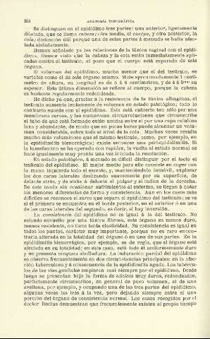 254