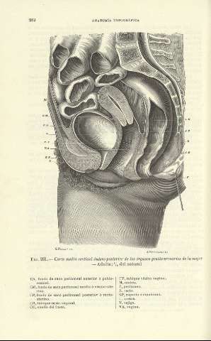 282