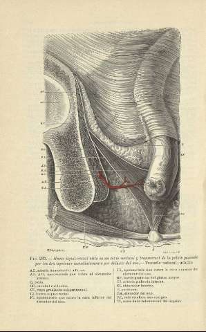 354
