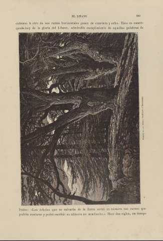 359