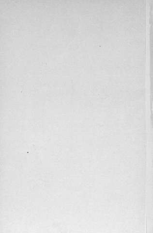 Pl.3v