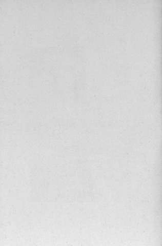 Pl.4v