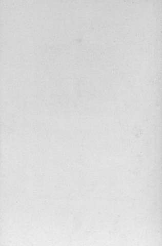 Pl.6v
