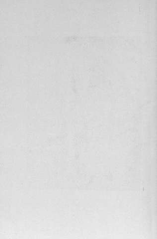 Pl.13v