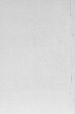 Pl.15v