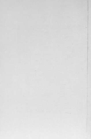 Pl.16v