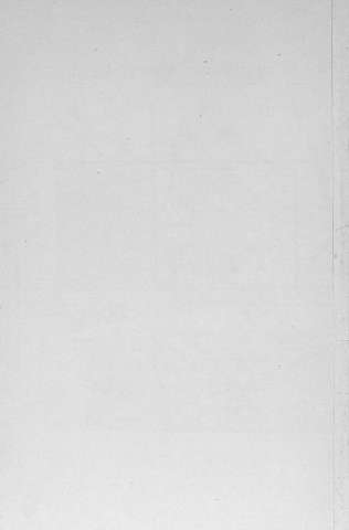 Pl.17v