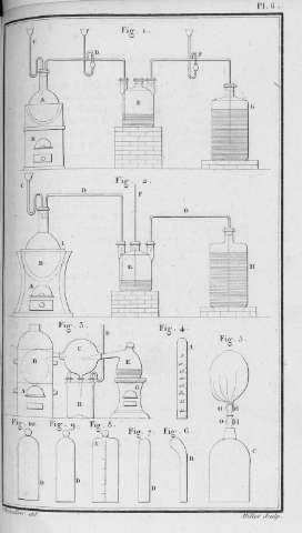 Pl. 6