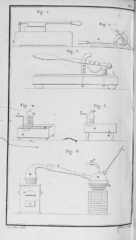 Pl. 7