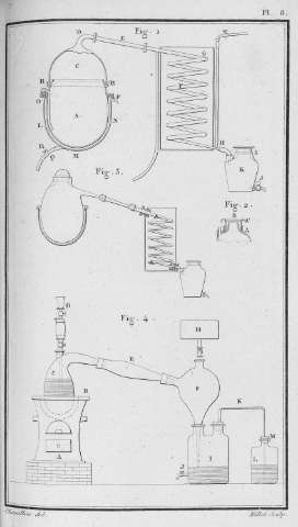 Pl. 8