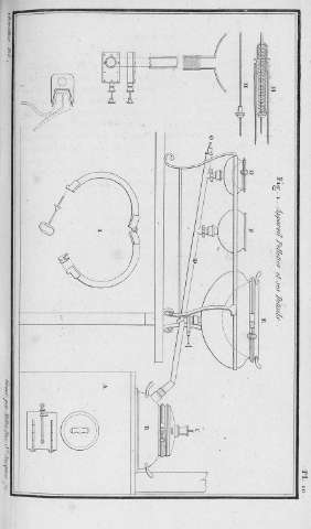 Pl. 10