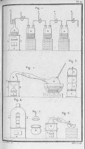 Pl. 12