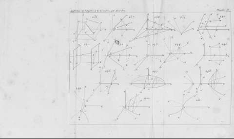 Planche XV