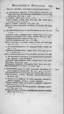 255