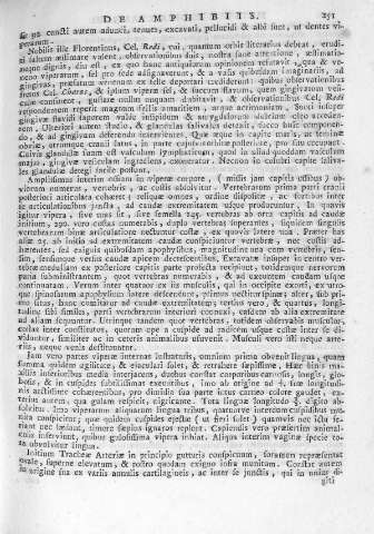 251