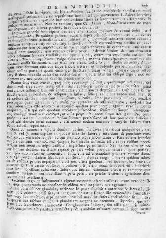255