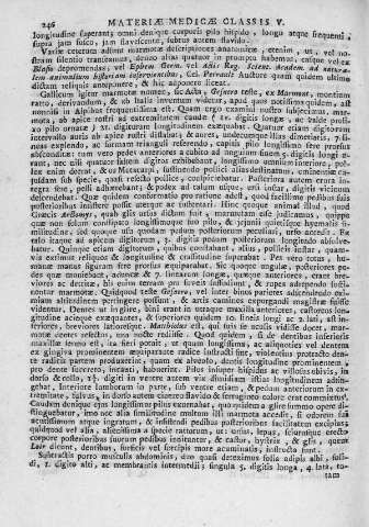 246