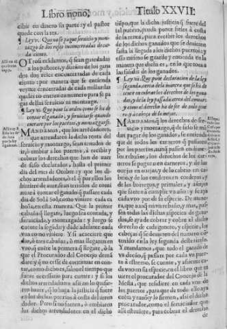 141v