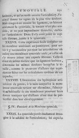 251
