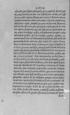 VII v
